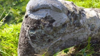 Azərbaycanda nadir heyvan heykəli sındırılıb - FOTOLAR