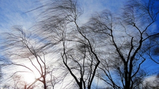 Hava küləkli, yağmurlu olacaq- PROQNOZ 