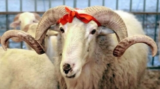 Qurban bayramında 4 gün ardıcıl iş olmayacaq 