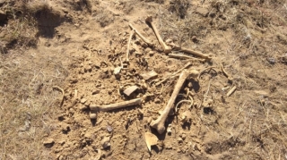 Bakıda yol kənarından 3 insanın sümükləri aşkarlanıb - VİDEO