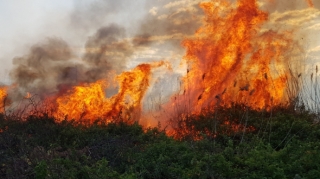 Xaçmazda biçilmiş taxıl sahəsi yanır 