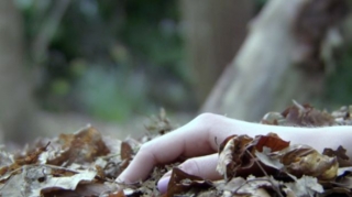 Lerikdə istirahət mərkəzində çayçı işləyən şəxsin meyiti aşkarlanıb