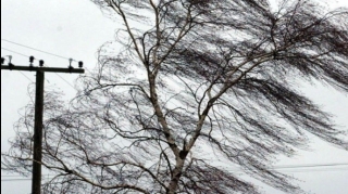 Külək Qaxda məktəbin damını uçurdu  - FOTO