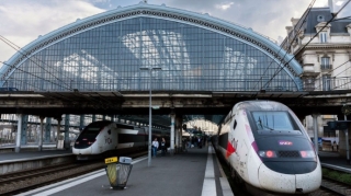 Во Франции пассажирку поезда оштрафовали на €110 из-за кота 