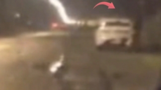 Lənkəranda 12 kq narkotik vasitə qanunsuz dövriyyədən çıxarıldı - VİDEO