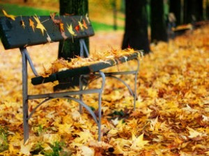 Hava dəyişkən buludlu olacaq, arabir tutulacaq