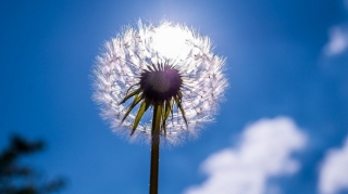 Şənbə günü 29 dərəcə isti olacaq 