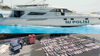 Körpə balıqlara qənim kəsilən şəxslər SAXLANILDILAR - VİDEO