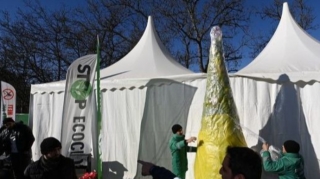 На территории проведения акции на дороге Ханкенди - Лачын устанавливают елку  - ФОТО