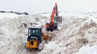 May ayı ərzində 600 hektaradək ərazi minalardan tam təmizlənib - MN - FOTO 