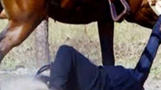 Bakıda 33 yaşlı kişi atdan yıxılıb öldü