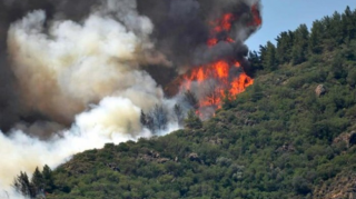 Şabranda yanğın yenidən gücləndi - Gəndab-Yalama yolu növbəti dəfə bağlandı 