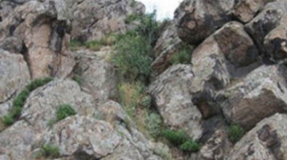 Gədəbəydə 65 yaşlı kişi qayadan yıxılıb öldü 