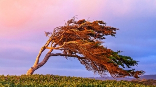 FHN  hava şəraiti ilə əlaqədar əhaliyə müraciət etdi