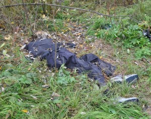 Göygöldə vəhşi heyvanlar tərəfindən parçalanan kişi meyiti tapılıb