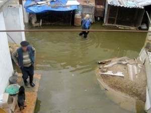 Bakıda 3 rayonda subasma olub   