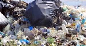 Qobu bələdiyyəsinin sədri cəzalandırıldı