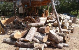 Bir “Kamaz” ağac tutuldu - Masallıda