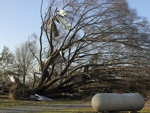 “Florens” qasırğası ABŞ-a 50 milyard dollara yaxın zərər vurub