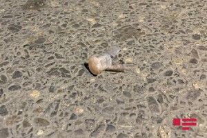 İki marşrut xəttinin sahibini qətlə yetirən "Hozu Rauf" saxlanılıb - VİDEO