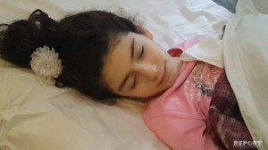 Aşan ağacın altında qalan məktəbli qız ağır xəsrət alıb - Sumqayıtda