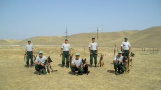 ABŞ Azərbaycana daha 30 minaaxtaran it göndərəcək