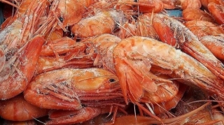 Bağlamalar üzərində koronavirus aşkar edilib