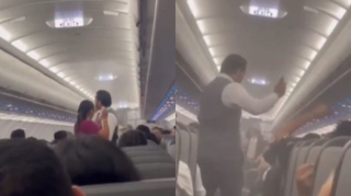 Meksikada böcəklər təyyarənin göyərtəsinə hücum edib - VİDEO 