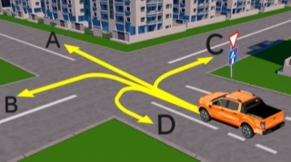 Sürücü hansı istiqamət üzrə hərəkət edə bilər? - DOĞRU CAVAB 