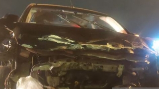 Bakıda avtomobil salondakı maşınlara çırpılıb - FOTO 