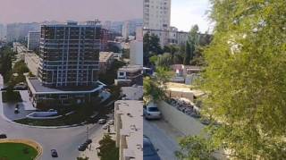 Bakıda çoxmərtəbəli bina tikmək üçün ağaclar məhv edildi   - FOTO