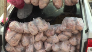 Avtomobillərin yük yerində ucuz satılan toyuqların mənşəyi məlumdur? - XƏBƏRDARLIQ  - VİDEO