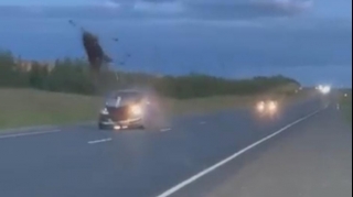 Avtomobil iribuynuzlu heyvanla toqquşdu - VİDEO