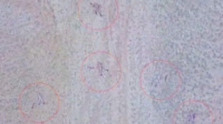 Talış kəndi ətrafındakı əlverişli yüksəkliklər düşməndən təmizləndi - RƏSMİ + VİDEO 