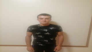 Göygöldə 12 min manatlıq mal-qara oğurlayan şəxs tutulub 