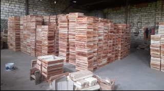 Xaçmazda icazəsiz fəaliyyət göstərən taxta sexləri aşkarlandı