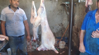 Sarayda qanunsuz ət kəsimi ilə məşğul olan şəxslər saxlanılıblar - FOTO 