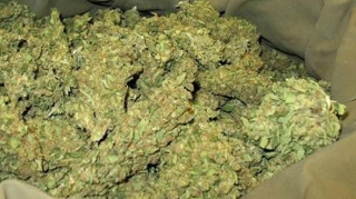 Qubada türkəçarə müalicə ilə məşğul olan şəxs narkotiklə saxlanılıb 