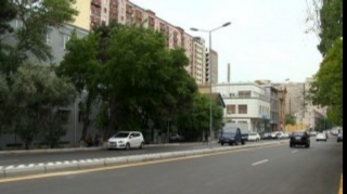 Bakıda ağacların zədələnməsinə görə sahə rəisi cəzalandırıldı 