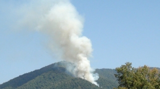 Zaqataladakı yanğın nəzarət altına alınıb 