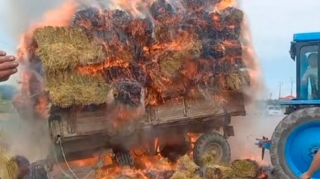 İmişlidə traktorun qoşqusu və iki tondan artıq ot bağlaması yanıb  