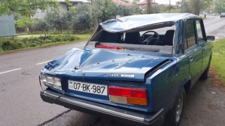 Lənkəranda ağac maşının üstünə aşdı - Xəsarət alanlar var - FOTO