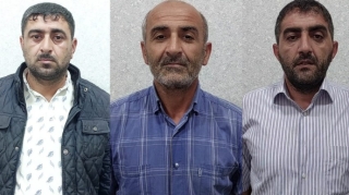 Lənkəranda meşədən mal-qara oğurlayanlar həbs edilib 