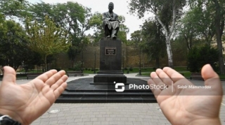 Məlumat lövhələri ilə bağlı problem: Ağacda olan, dahilərimizdə olmayan - FOTO