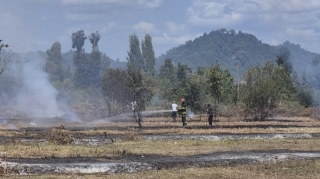 Lənkəranda yanğın törədən şəxs məsuliyyətə cəlb edildi 
