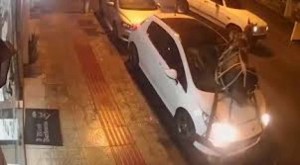 Sahibindən qaçan at görün nə etdi - VİDEO