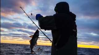 Qanunsuz balıq ovu ilə məşğul olan şəxslər saxlanılıb 