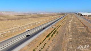 Bakı-Quba yolunda yaşıllıqlara aqrotexniki qulluq göstərilib  - FOTO