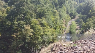 Lerikdə 17 yaşlı oğlan çayda boğuldu  - FOTO