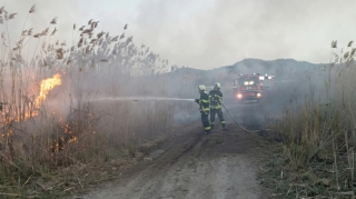 Cocuq Mərcanlı kəndi yaxınlığında YANĞIN - Hadisə yerindən VİDEO 